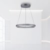Paul-Neuhaus PURE E-LOOP Hanglamp LED Grijs, 2-lichts, Afstandsbediening