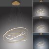 Paul-Neuhaus TESSARA Hanglamp LED Goud, 1-licht, Afstandsbediening
