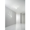 Lutec SHANGHAI Plafondlamp LED Wit, 3-lichts