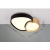 Trio RISE Plafondlamp LED Zwart-Goud, 1-licht, Afstandsbediening