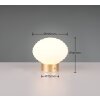 Reality EARL Tafellamp LED Messing, 1-licht