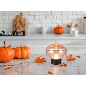 Reality EARL Tafellamp LED Zwart, 1-licht