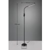 Reality TORO Staande lamp LED Zwart, 1-licht