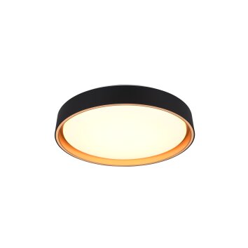Reality FELIS Plafondlamp LED Zwart-Goud, 1-licht, Afstandsbediening