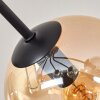 Gastor Plafondlamp - Glas 10 cm, 12 cm, 15 cm Amber, Rookkleurig, 7-lichts