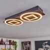 Taboneira Plafondlamp LED Donkerbruin, Zwart, 2-lichts