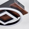 Taboneira Plafondlamp LED Donkerbruin, Zwart, 2-lichts