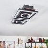 Taboneira Plafondlamp LED Donkerbruin, Zwart, 2-lichts