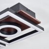 Taboneira Plafondlamp LED Donkerbruin, Zwart, 2-lichts