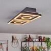 Taboneira Plafondlamp LED Donkerbruin, Zwart, 2-lichts