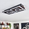 Taboneira Plafondlamp LED Donkerbruin, Zwart, 2-lichts