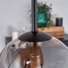 Chehalis Plafondlamp - Glas 15 cm Natuurlijke kleuren, Zwart, 5-lichts