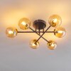 Chehalis Plafondlamp - Glas 10 cm Goud, Zwart, 6-lichts