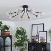 Chehalis Plafondlamp - Glas 10 cm Goud, Zwart, 8-lichts