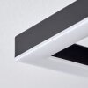 Taboneira Plafondlamp LED Donkerbruin, Zwart, 3-lichts