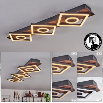 Taboneira Plafondlamp LED Donkerbruin, Zwart, 3-lichts