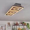 Taboneira Plafondlamp LED Donkerbruin, Zwart, 3-lichts