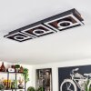 Taboneira Plafondlamp LED Donkerbruin, Zwart, 3-lichts