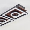 Taboneira Plafondlamp LED Donkerbruin, Zwart, 3-lichts