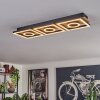 Taboneira Plafondlamp LED Natuurlijke kleuren, Zwart, 3-lichts
