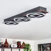 Taboneira Plafondlamp LED Donkerbruin, Zwart, 3-lichts