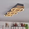 Taboneira Plafondlamp LED Natuurlijke kleuren, Zwart, 3-lichts