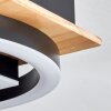 Taboneira Plafondlamp LED Natuurlijke kleuren, Zwart, 3-lichts