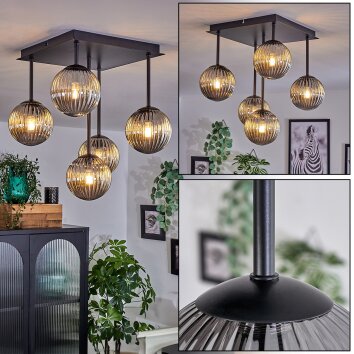 Chehalis Plafondlamp - Glas 12 cm Rookkleurig, 5-lichts