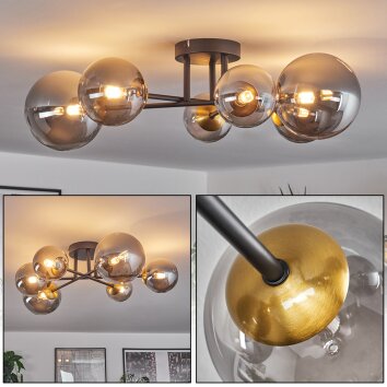 Chehalis Plafondlamp - Glas 10 cm, 12 cm, 15 cm Goud, Zwart, 6-lichts