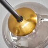 Chehalis Plafondlamp - Glas 12 cm Goud, Zwart, 6-lichts