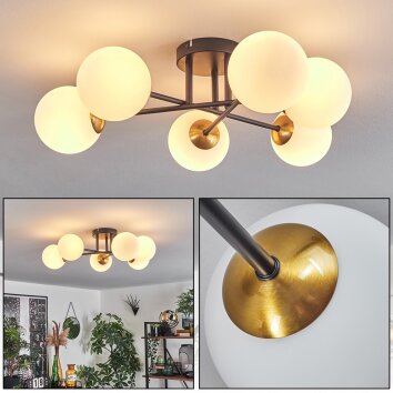 Chehalis Plafondlamp - Glas 12 cm Goud, Zwart, 6-lichts