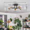 Chehalis Plafondlamp - Glas 10 cm, 12 cm, 15 cm Goud, Zwart, 6-lichts