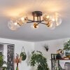 Chehalis Plafondlamp - Glas 10 cm, 12 cm, 15 cm Goud, Zwart, 6-lichts