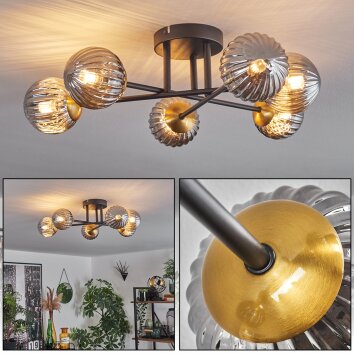Chehalis Plafondlamp - Glas 10 cm Goud, Zwart, 6-lichts