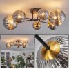 Chehalis Plafondlamp - Glas 10 cm, 12 cm, 15 cm Goud, Zwart, 6-lichts