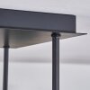 Chehalis Plafondlamp - Glas 10 cm, 12 cm, 15 cm Goud, Zwart, 5-lichts
