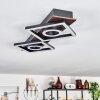Taboneira Plafondlamp LED Donkerbruin, Zwart, 2-lichts