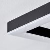 Taboneira Plafondlamp LED Donkerbruin, Zwart, 2-lichts