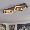 Taboneira Plafondlamp LED Donkerbruin, Zwart, 2-lichts