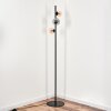Remaisnil Staande lamp - Glas 10 cm, 12 cm Amber, Rookkleurig, 3-lichts