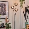 Bernado Staande lamp - Glas 15 cm Duidelijk, Rookkleurig, 3-lichts