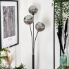Bernado Staande lamp - Glas 15 cm Rookkleurig, 3-lichts