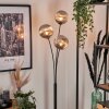 Bernado Staande lamp - Glas 15 cm Rookkleurig, 3-lichts