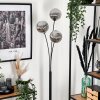 Bernado Staande lamp - Glas 15 cm Rookkleurig, 3-lichts