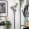 Bernado Staande lamp - Glas 12 cm Rookkleurig, 6-lichts