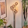 Bernado Staande lamp - Glas 12 cm Rookkleurig, 6-lichts