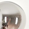 Bernado Staande lamp - Glas 12 cm Rookkleurig, 6-lichts