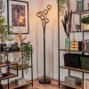 Bernado Staande lamp - Glas 12 cm Rookkleurig, 6-lichts