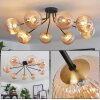 Chehalis Plafondlamp - Glas 15 cm Goud, Zwart, 8-lichts