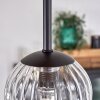 Chehalis Plafondlamp - Glas 10 cm Natuurlijke kleuren, Zwart, 5-lichts